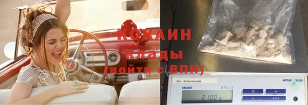 амф Вяземский