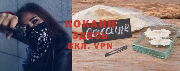 амф Вяземский