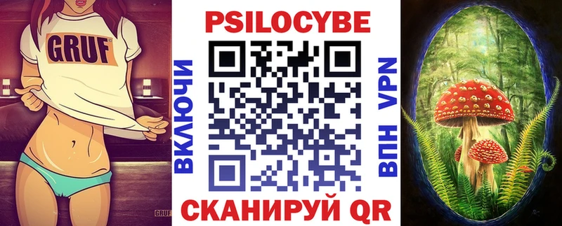 Псилоцибиновые грибы мицелий  Купить где  Ладушкин 