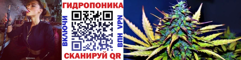 Купить закладки  Ладушкин  МАРИХУАНА план 