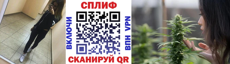 Бошки Шишки Amnesia Ладушкин